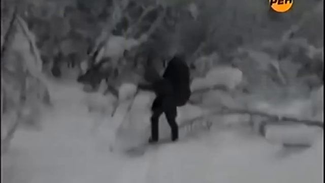 перевал дятлова