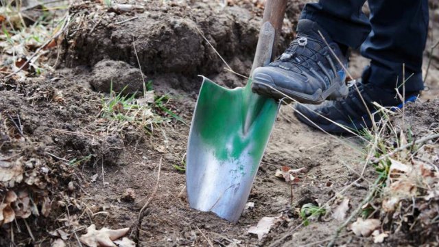 Попутчик убил водителя и закопал в лесу в Удмуртии