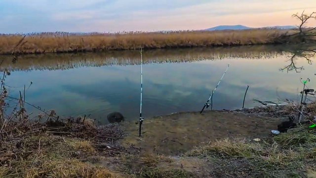 Рыбалка на донки ловля крупного карася на манку