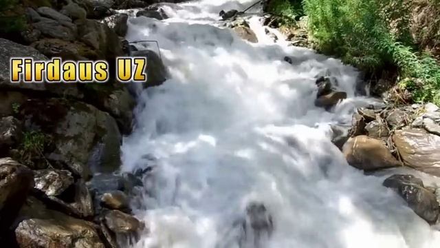 Abdulloh Domla ° ЙИГЛАБ МАРУЗА КИЛДИ😥°Abdulloh Domla #abdullohdomla #ilmnuri #firdausuz