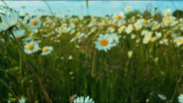 Cinematic video