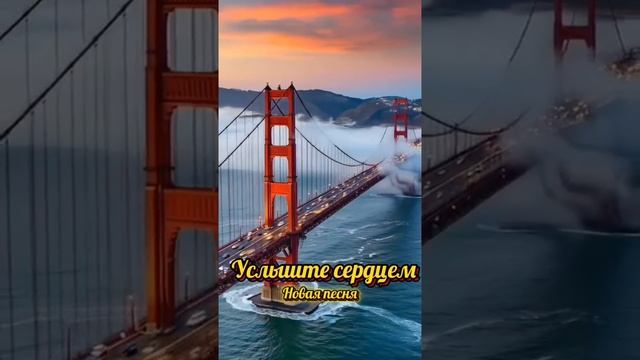 VID_20250427_175751_698.mp4