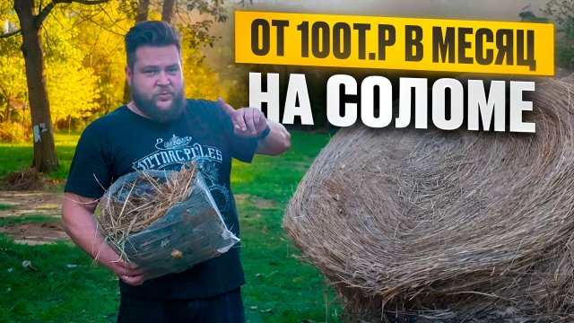 КАК ЗАРАБОТАТЬ НА СОЛОМЕ?/КУДА ЕЕ ПРОДАТЬ?