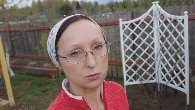 Видео привет с 6 соток 25 апреля 2025 года