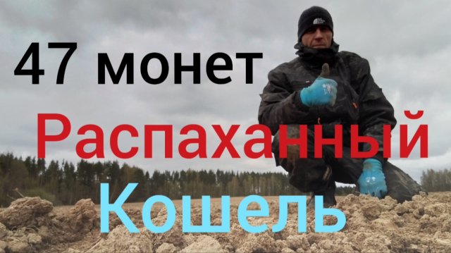 куча монет и разных находок