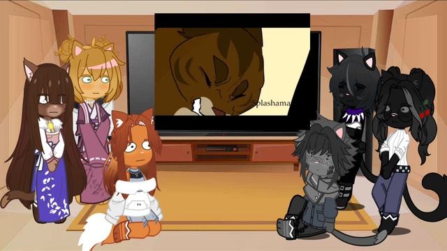 Реакция котов воителей на видео // 3/??