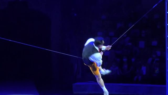 Свободная проволока, клоун Акула.