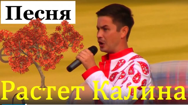 Песня Растет Калина Песни русские народные группа Барин Сочи