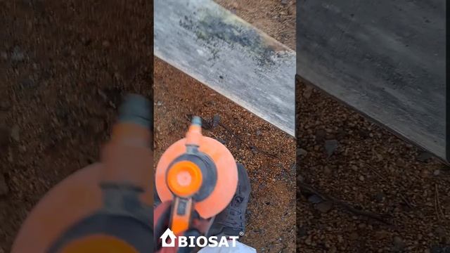 Отбеливатель древесины БИОСАТ БЛИКТА. Стоит ли покупать? Реальный отзыв