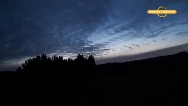 Охота на медведя Настоящая русская охота