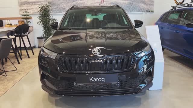 SKODA KAROQ 2025 обзор