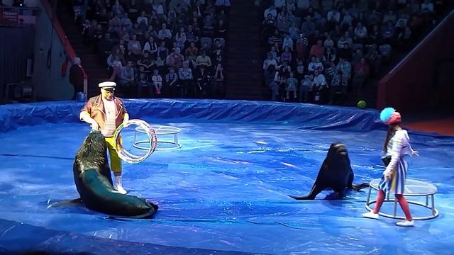 "ПАЛУНДРА! СВИСТАТЬ ВСЕХ НАВЕРХ! ", ШОУ "БАГДАСАРОВЫ. ПРО ЦИРК", КАЗАНСКИЙ ЦИРК