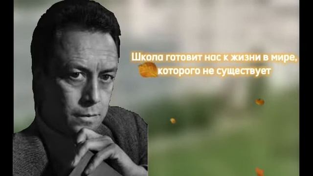Цитаты о школе