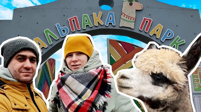 Альпака Парк в Радошковичах