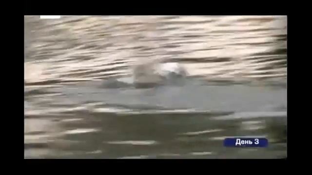 Хата на тата,Папа Попал//  Веремеевка //Семья Пушенко//