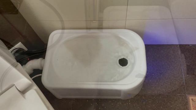 Автоматический кошачий туалет ДФК-лаб. Альтернатива