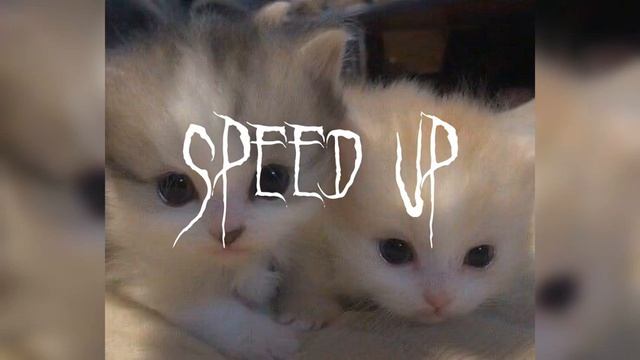 За тебя калым отдам (speed up)