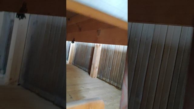 VID_20250503_151514
