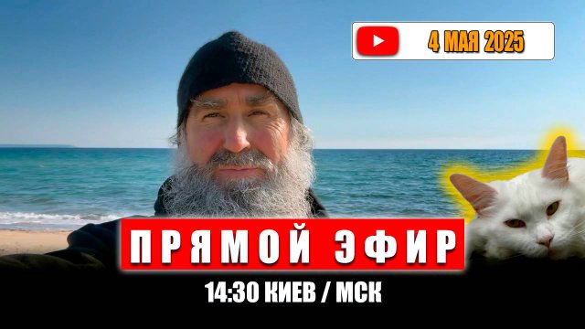 Прямой эфир 4 мая 2025