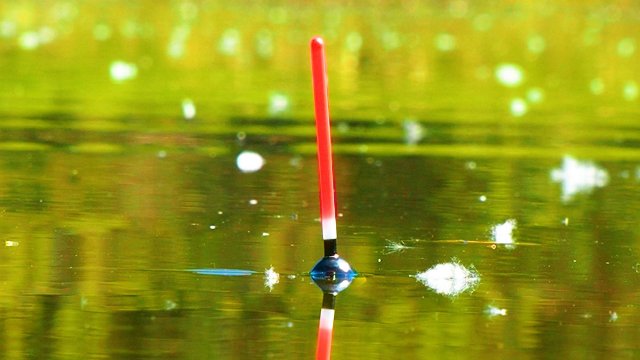 РЫБАЛКА НА ПОПЛАВОК! ЛОВЛЮ КАРАСЕЙ НА ЛЕСНОМ ОЗЕРЕ! Рыбалка на удочку