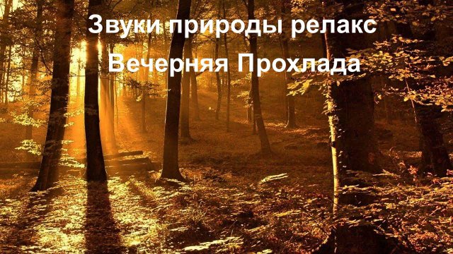 Звуки природы Релакс. Вечерняя прохлада.