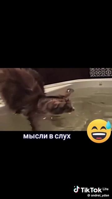 ¯\_(ツ)_/¯