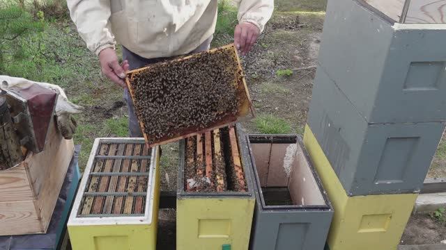 ЕСЛИ СЕМЬЯ ВОШЛА В РОЕВОЕ СОСТОЯНИЕ !!!