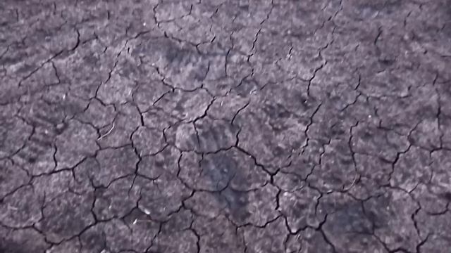 С утра шёл сильный дождь, а днём было жарко ☀️ и вот что в итоге получилось 🏡Домик в деревне