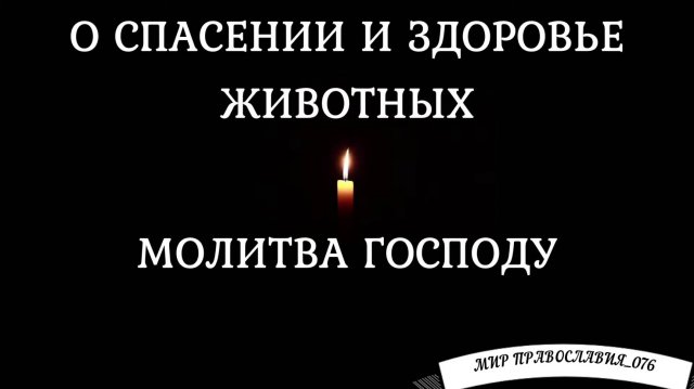 Молитва Господу о спасении и здоровье животных