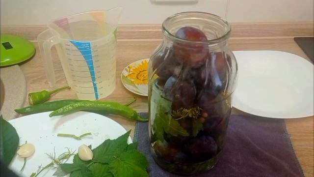 Моченые сливы. Квашеные сливы. Pickled plums.
