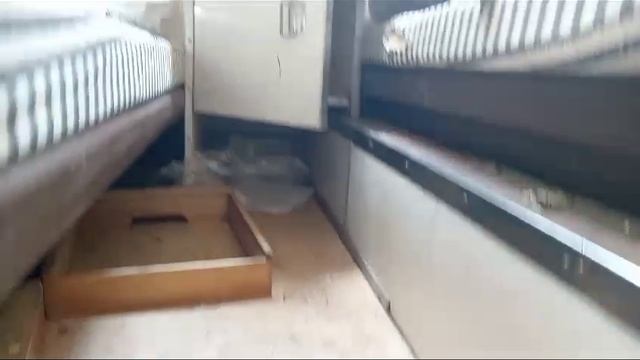 видео кунг .mp4