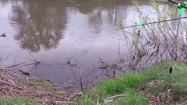 #Ночная рыбалка и добрый рыбнадзор!