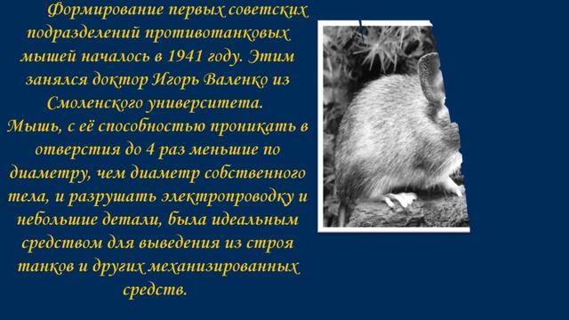 презентация к 9 мая.ppt