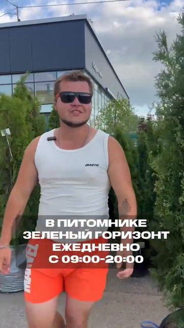 Питомник растений, сезонные скидки  #питомникрастений