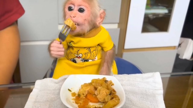 Обезьянка ест ПИРОГ С МЯСОМ ВИЛКОЙ Умница Воспитанная СМЕШНАЯ КАК ДЕТЁ