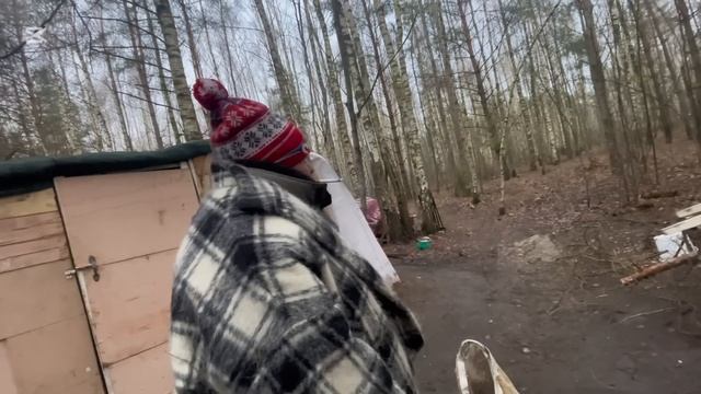 ЛЮДИ ЛЕСА, ГОТОВА СЕСТЬ В ТЮРЬМУ НО ПОЕДУ НА БАРАХОЛКУ.