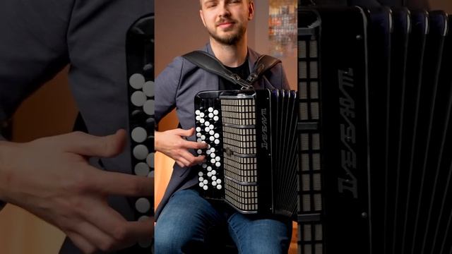 Чем отличается аккордеон, баян и гармонь🪗