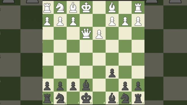 Chess.com