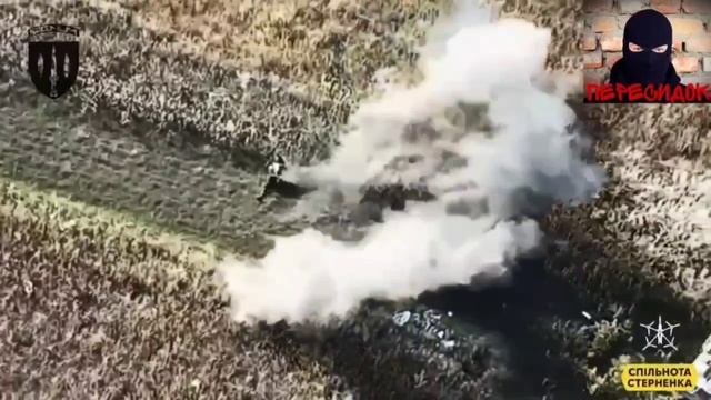 Жизнеутверждающая подборка с СВО