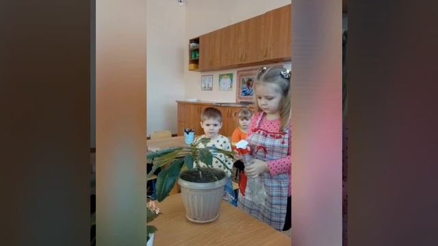Уход за комнатными растениями