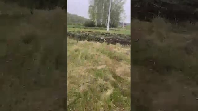 6194247404893279731