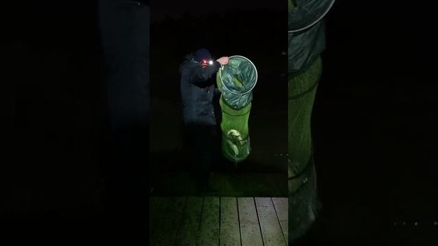 1000077702.mp4