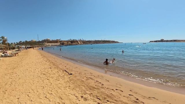 Египет 2025. УДИВИЛ не НА ШУТКУ❗️ Iberotel Palace 5*. Шарм Эль Ше