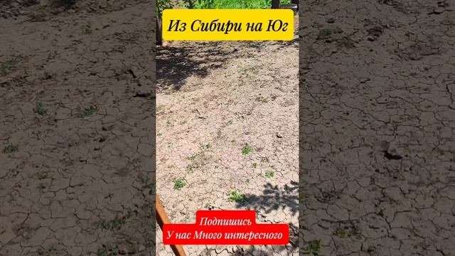 Наши будни,работа кипит.Переезд на Юг Виктор Саликов.🌴🌴🌴