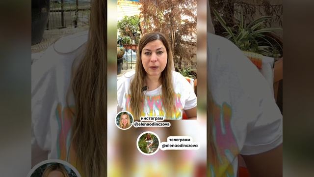 Работа в Израиле после 50/работа в Израиле для молодежи