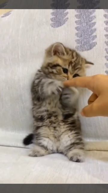 защищайтесь