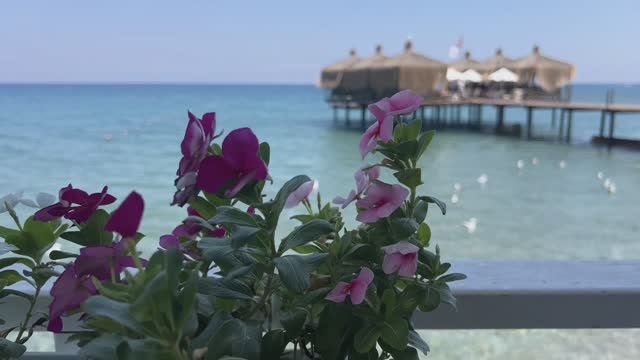 Обзор Crystal flora beach resort 5
Турция,  Бельдиби