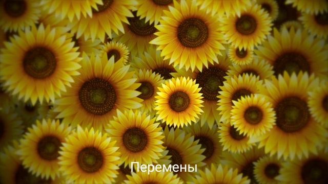 Перемены.mp4
