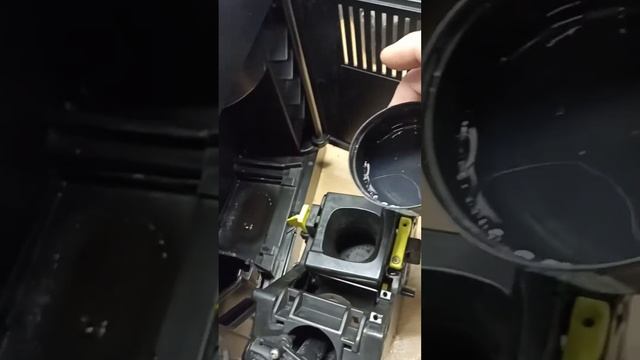 Saeko Lirika Декальцинация и чистка от кофейный масел