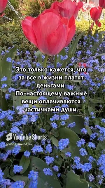 Мудрые мысли